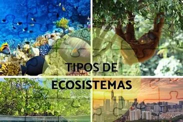 Ecosistemas