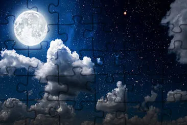 moonlight jigsaw puzzle