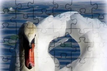 Cygne jigsaw puzzle