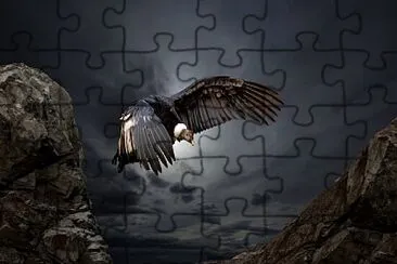 CONDOR jigsaw puzzle