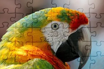 loro jigsaw puzzle