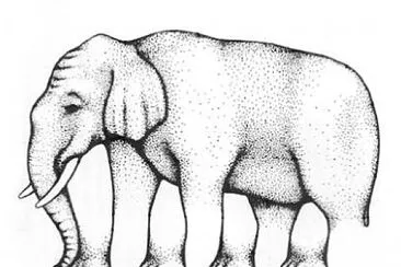 Shephard Elephant illusion