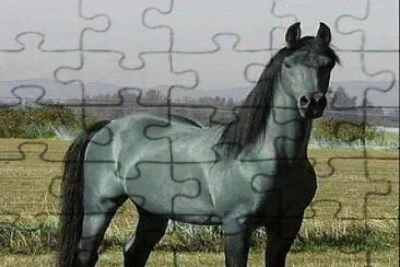 פאזל של cheval