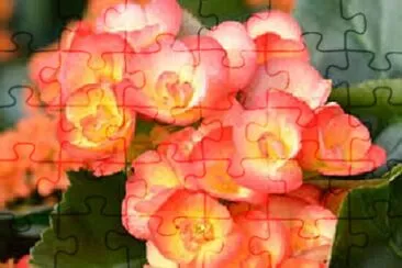 OK jigsaw puzzle