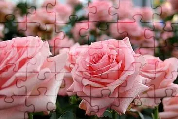 OK jigsaw puzzle