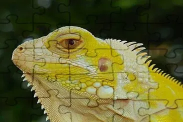 CENÃRIO K298 jigsaw puzzle