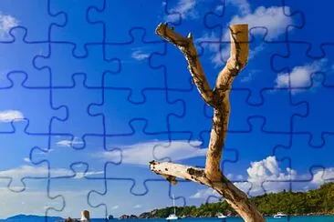 vzla jigsaw puzzle