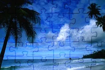 vzla jigsaw puzzle