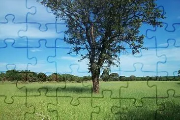 natureza jigsaw puzzle