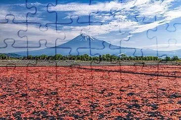 imagem jigsaw puzzle