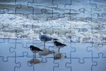 UWe55 jigsaw puzzle