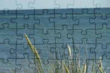 Strandhafer jigsaw puzzle