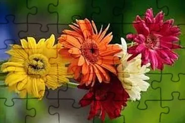 OK jigsaw puzzle