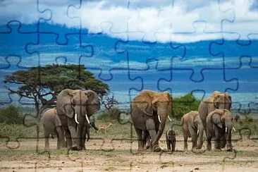 imagem jigsaw puzzle