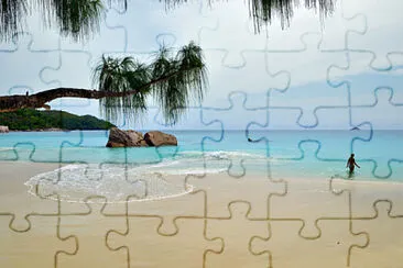 Playa de Seychelles jigsaw puzzle