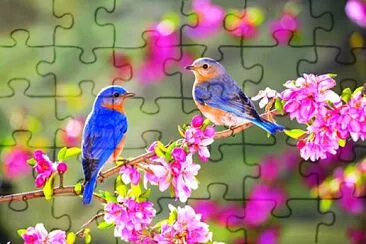 colibries jigsaw puzzle