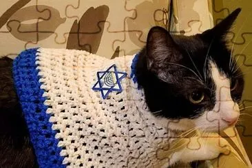 פאזל של chanukah cat