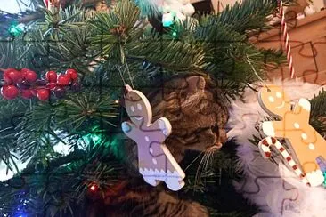 Cat in Xstmas tree