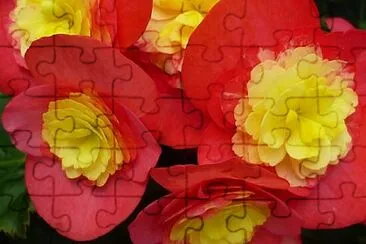 OK jigsaw puzzle