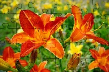 OK jigsaw puzzle