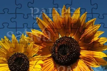 flowers jigsaw puzzle