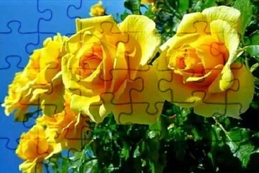 OK jigsaw puzzle