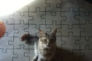 Hola jigsaw puzzle