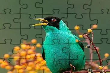 CENÃRIO K308 jigsaw puzzle