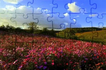 Prairie fleurie jigsaw puzzle