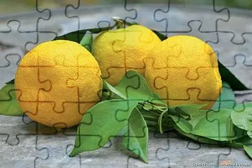 פאזל של citron