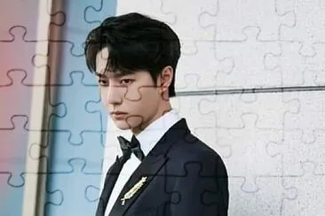 Chinese actor Wang Yibo jigsaw puzzle