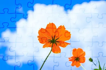 flores com fundo de cÃ©u jigsaw puzzle