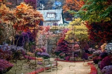 Colour garden