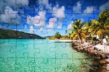 9 jigsaw puzzle