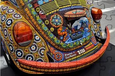 Huichol Beetle