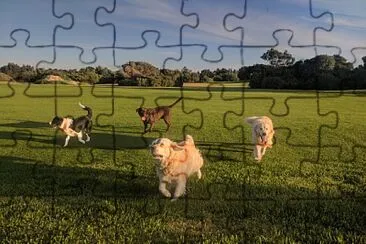 Jess, Jake, Wilbur and Keera - West Beach SA jigsaw puzzle