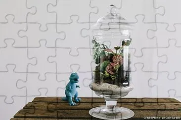 dragon jigsaw puzzle