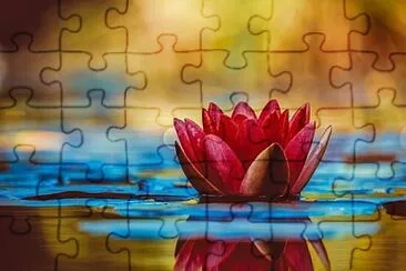 flower jigsaw puzzle