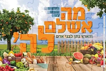 ×”×¨×›×™×‘×• ××ª ×”×¤××–×œ jigsaw puzzle