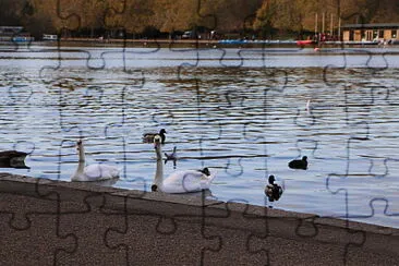 Hyde Park, London, UK jigsaw puzzle