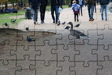 Hyde Park, London, UK jigsaw puzzle