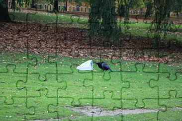 Hyde Park, London, UK jigsaw puzzle