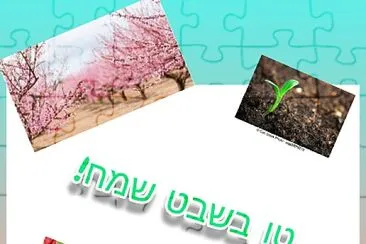 ×¤××–×œ ×˜×• ×‘×©×‘×˜