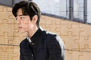 Chinese actor  Xiao Zhan jigsaw puzzle