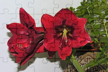 OK jigsaw puzzle