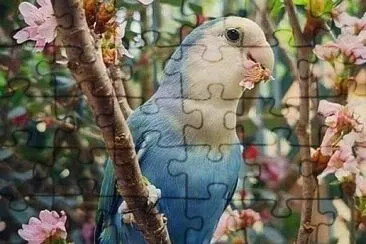 10 jigsaw puzzle