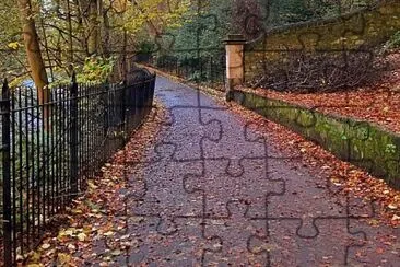 20 jigsaw puzzle