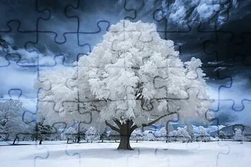 Ã¡rbol mÃ¡gico jigsaw puzzle