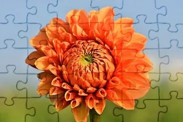 Efisia jigsaw puzzle