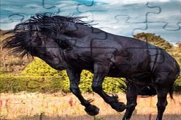 Cheval noir jigsaw puzzle